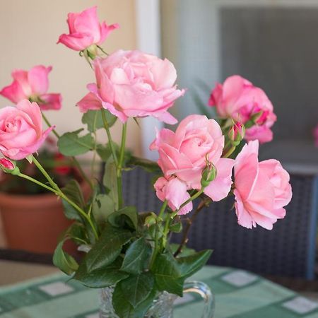 Apartment Timea ดูบรอฟนิก ภายนอก รูปภาพ